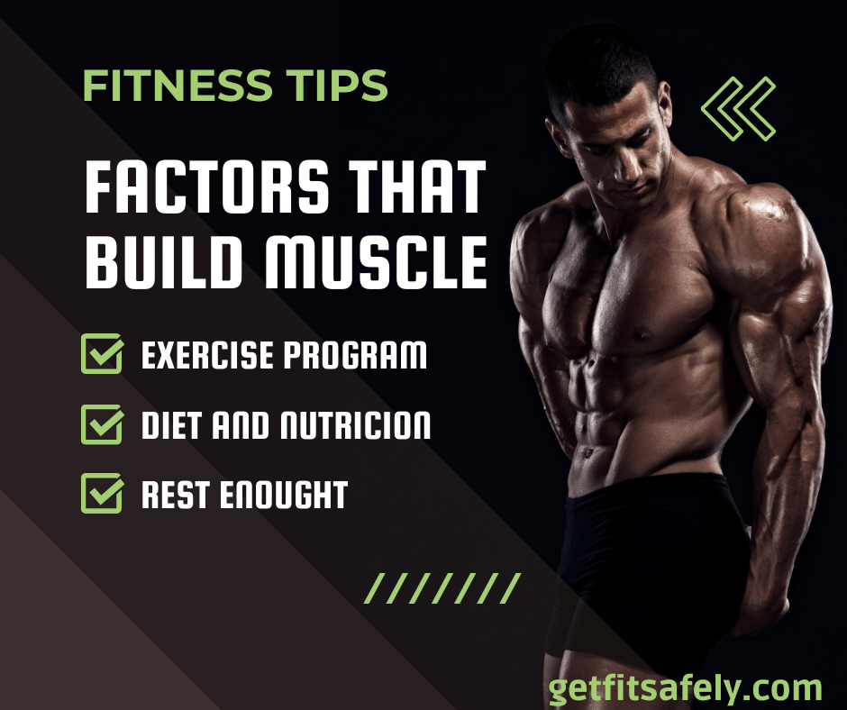 Factors-that-build-muscle