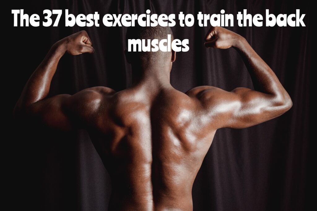The-best-exercises-to-train-the-back-muscles