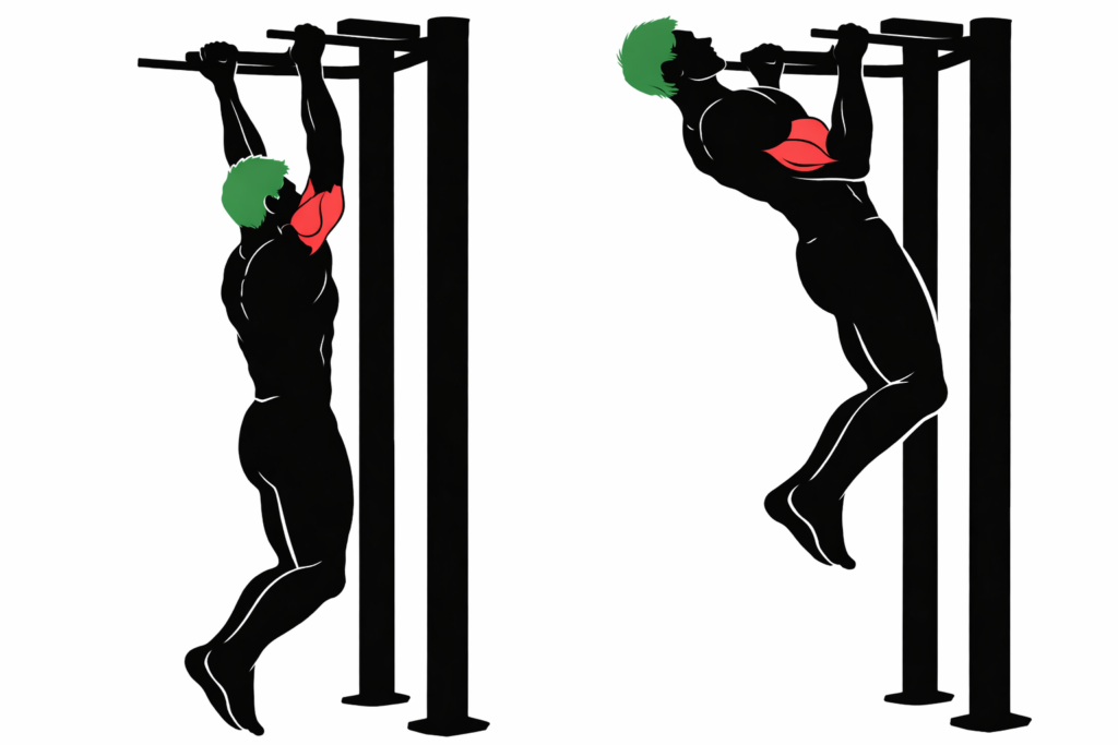 Biceps-highlighted-chin-up-exercise
