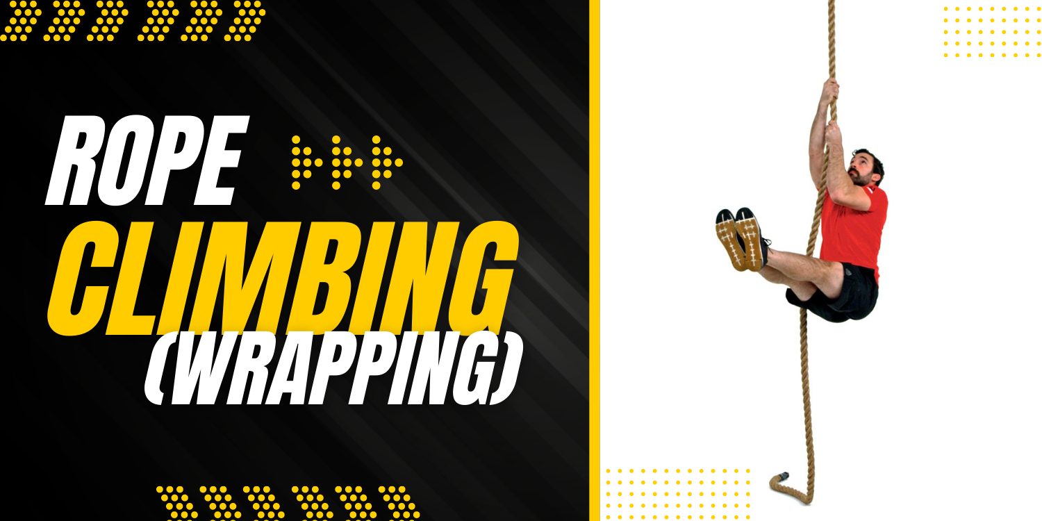 37 Bodyweight workouts to train your back