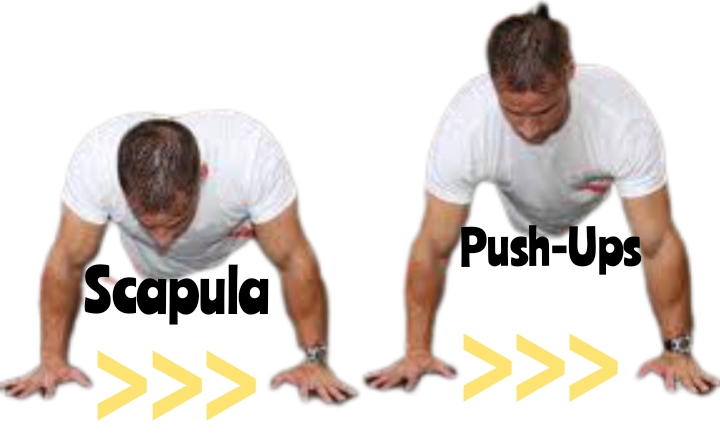 Scapula-Push-Ups