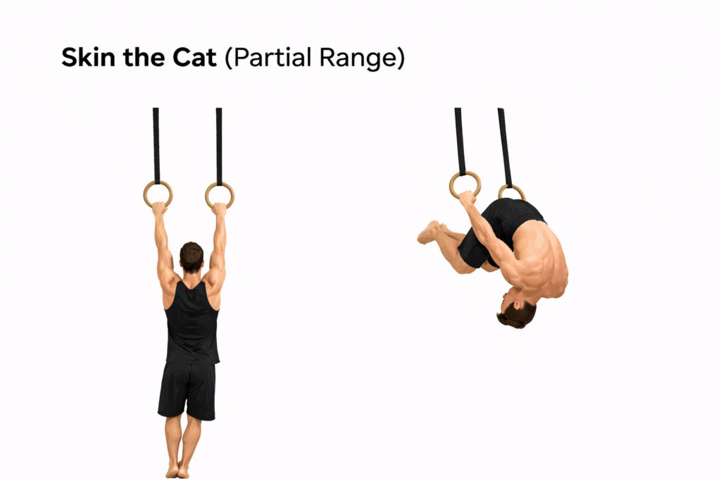 Hang-to-tuck-rotation-skin-the-cat-partial-range-rings