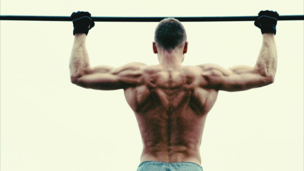 Wide-grip-inverted-row-for-upper-back-and-rear-delts
