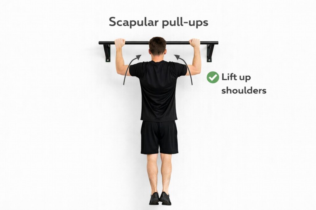 Scapular-pull-up-shoulders-lift-and-lower-example