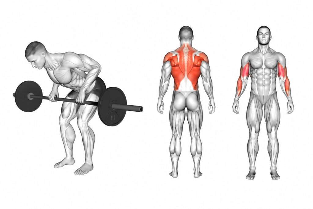 Barbell-row-compound-lift