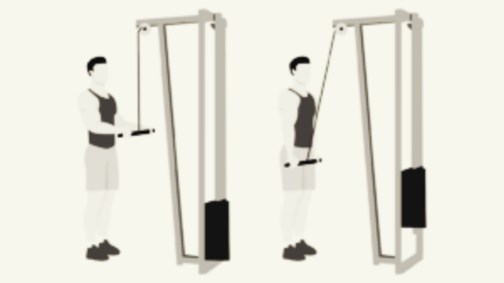 Straight-bar-tricep-pushdown