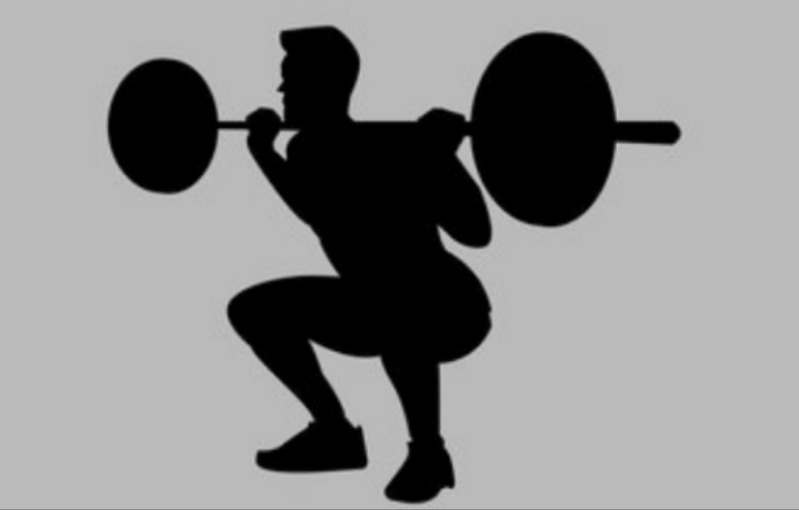 Barbell-squat-leg-day-training