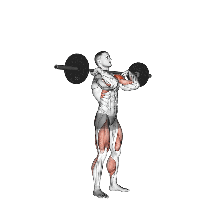 Push-press-shoulders-gif