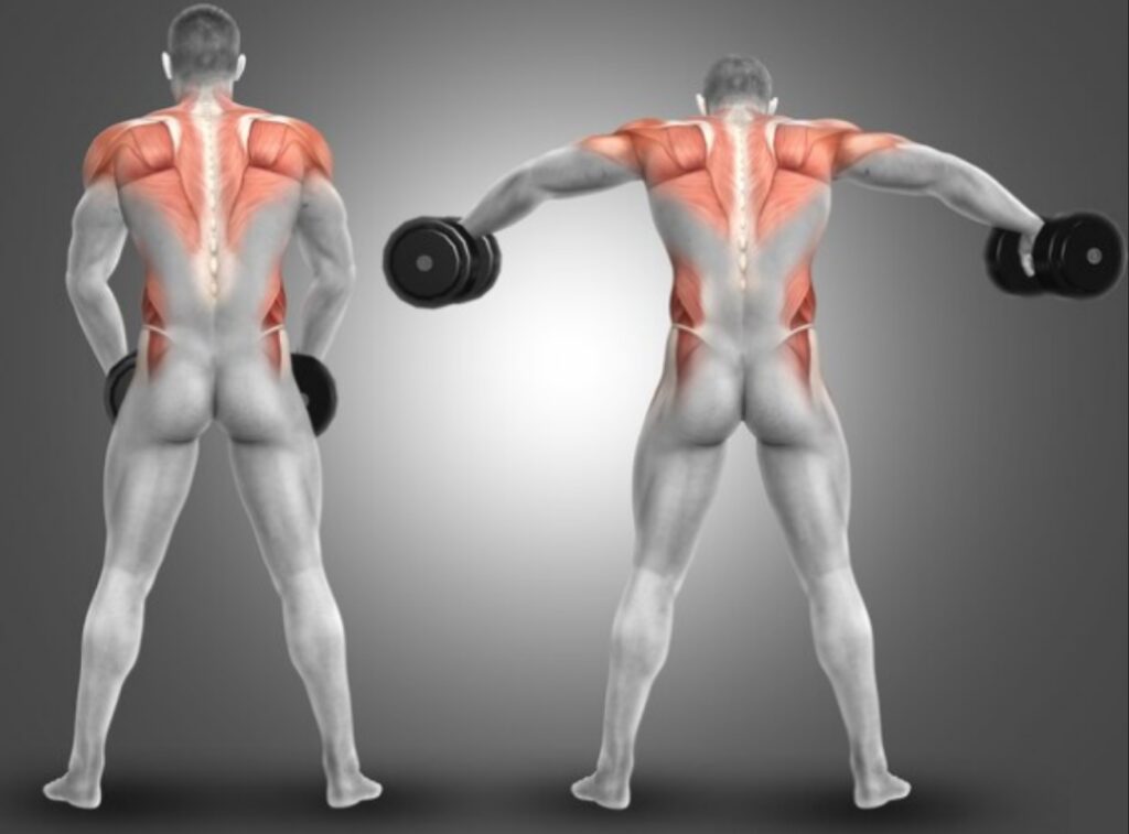 The-phase-in-which-you-lift-the-weight