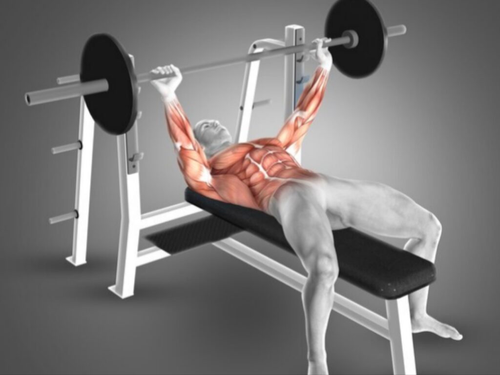 How-head-position-during-the-bench-press-affects-power