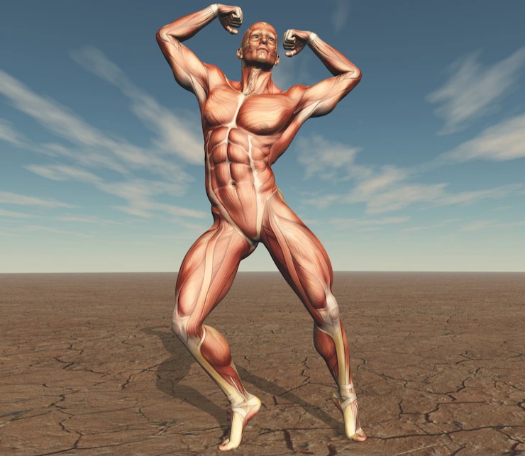 Well-defined-male-bodybuilder