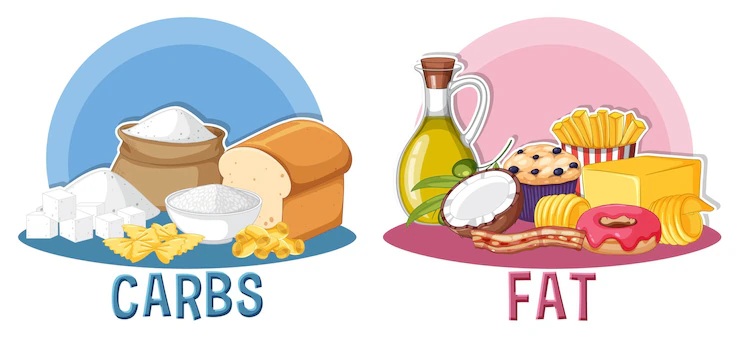The-role-of-carbs-and-fats