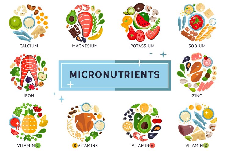 Food-infographic-about-micronutrients-vitamins