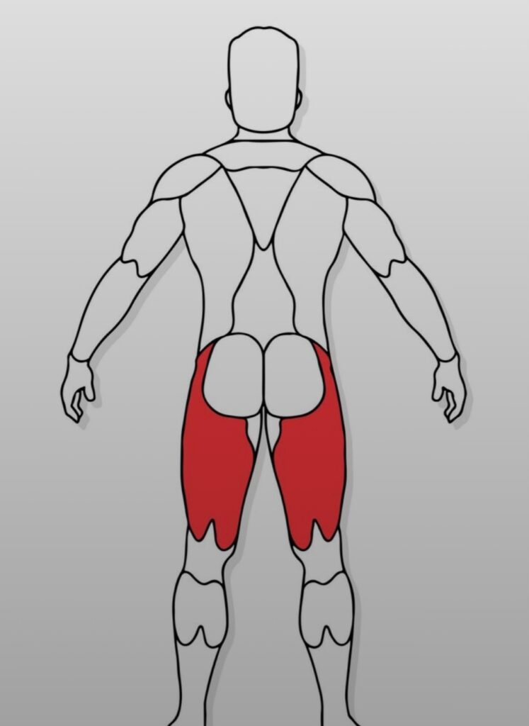 Not-always-hamstrings-fault