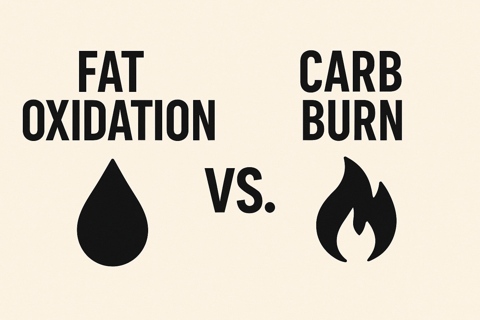 Fat-vs-carbs-the-real-battle-behind-your-rowing-performance