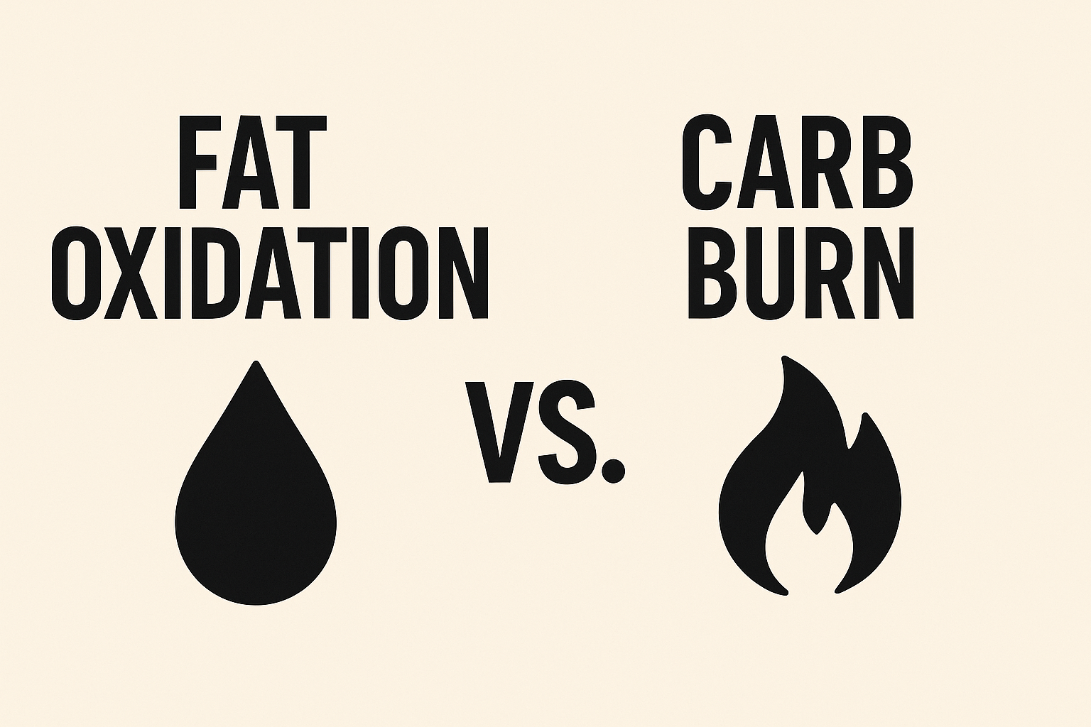 Fat-vs-carbs-the-real-battle-behind-your-rowing-performance