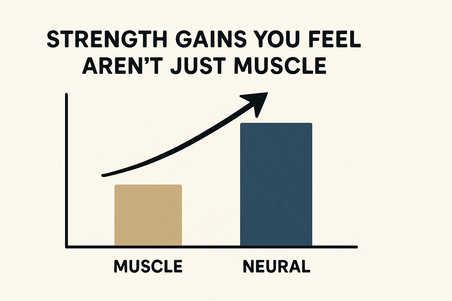 Horizontal-chart-muscle-vs-neural-strength-gains