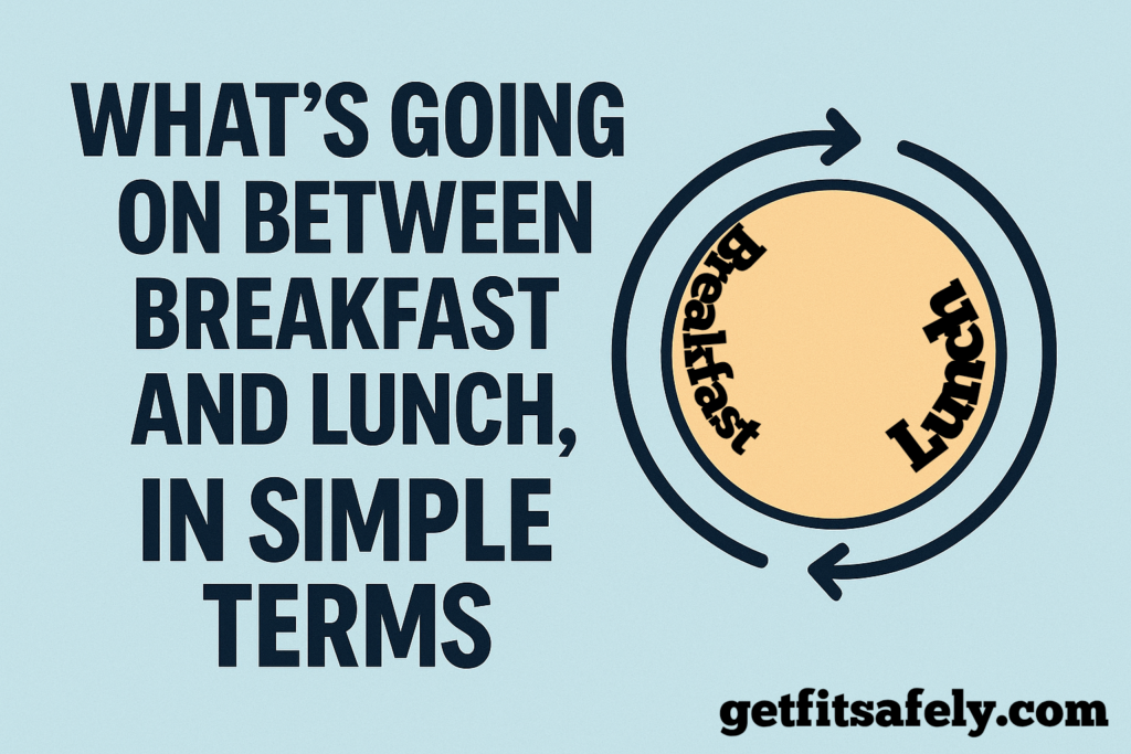 Breakfast-lunch-digestive-changes-graphic