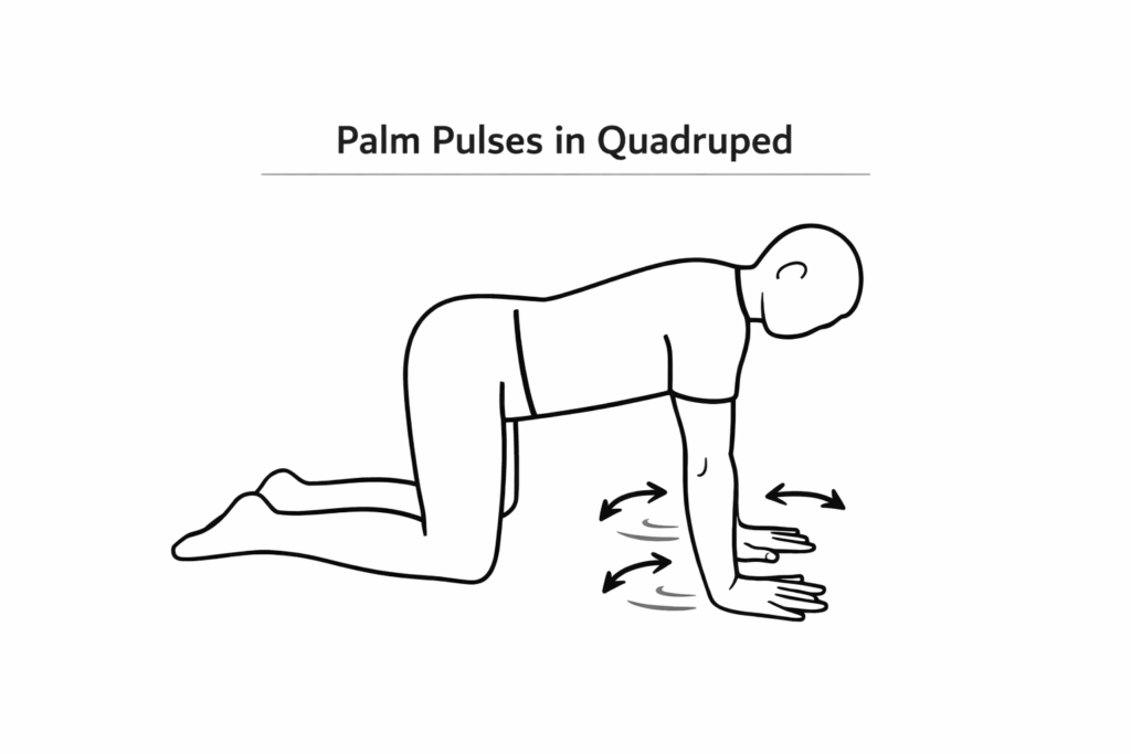 Quadruped-palm-pulses-wrist-load-exercise