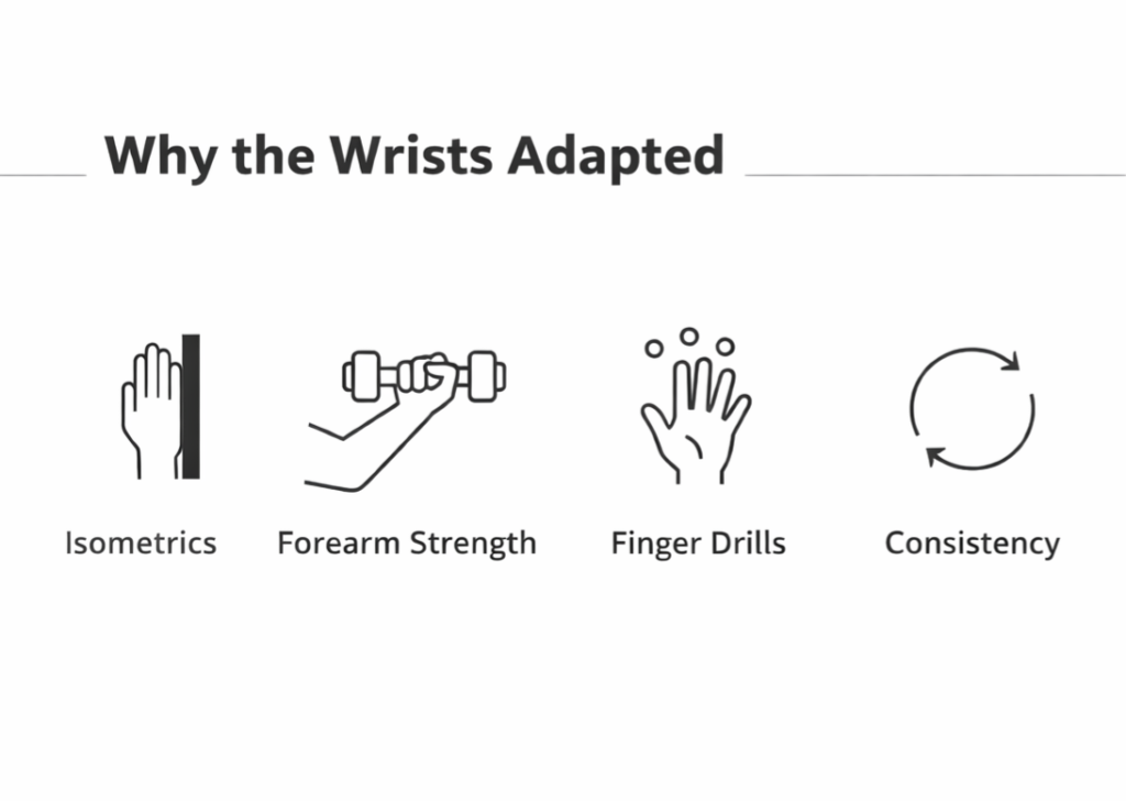 Why-the-wrists-adapted-minimal-graphic